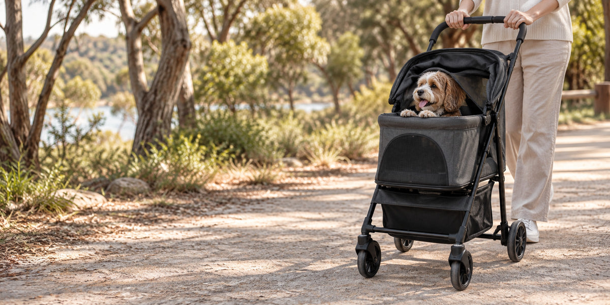Small dog riding in a pet stroller along a park path