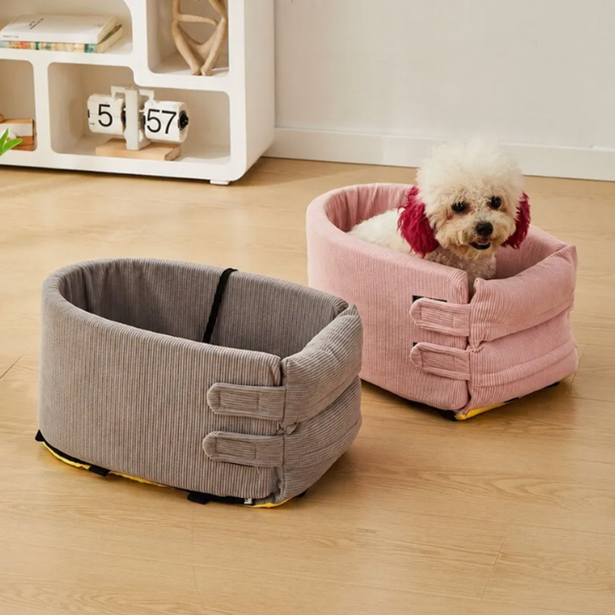 A small white dog in the pink corduroy travel bed at home, beside the grey one on a timber floor