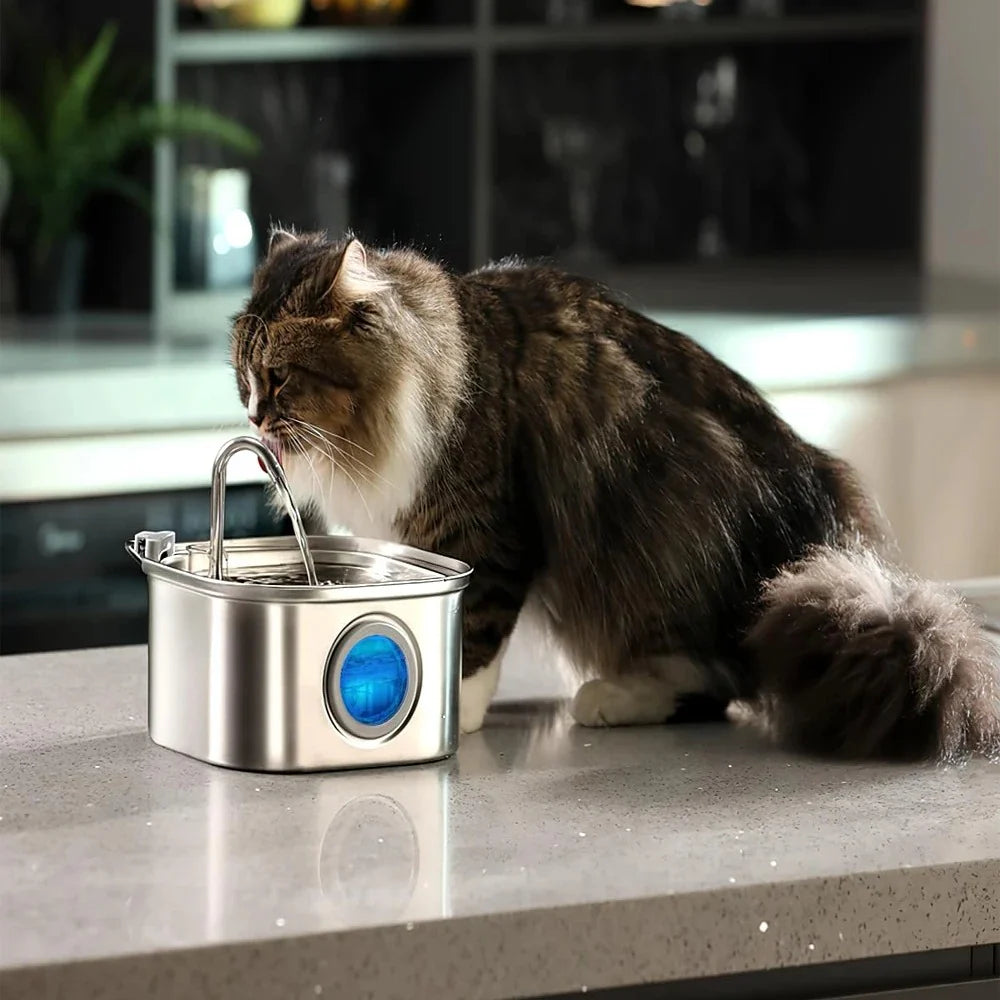 3.2L Stainless Steel Pet Water Feeder Auto Cat Fountain Smart Dog Water Dispenser Visual Window Drinking Bowl Pet Accessories | Pet Grooming | Pet Supplies and Food Australia | Pet Supplies Sydney | PetNexa Australia | Shop now