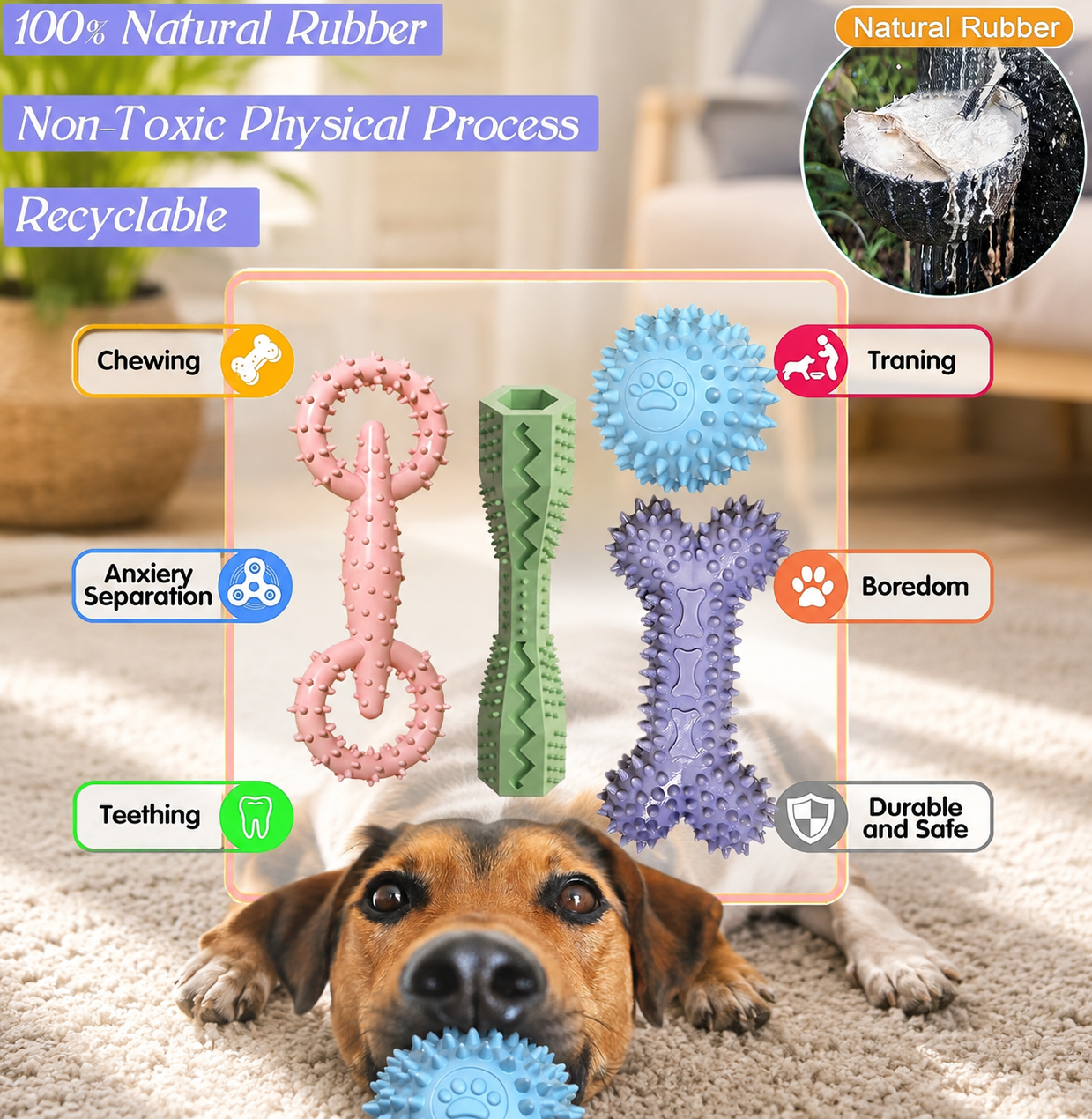  | For Dogs | Pet Supplies and Food Australia | Pet Supplies Sydney | PetNexa Australia | Shop now