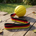  | For Dogs | Pet Supplies and Food Australia | Pet Supplies Sydney | PetNexa Australia | Shop now