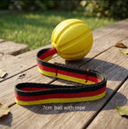  | For Dogs | Pet Supplies and Food Australia | Pet Supplies Sydney | PetNexa Australia | Shop now