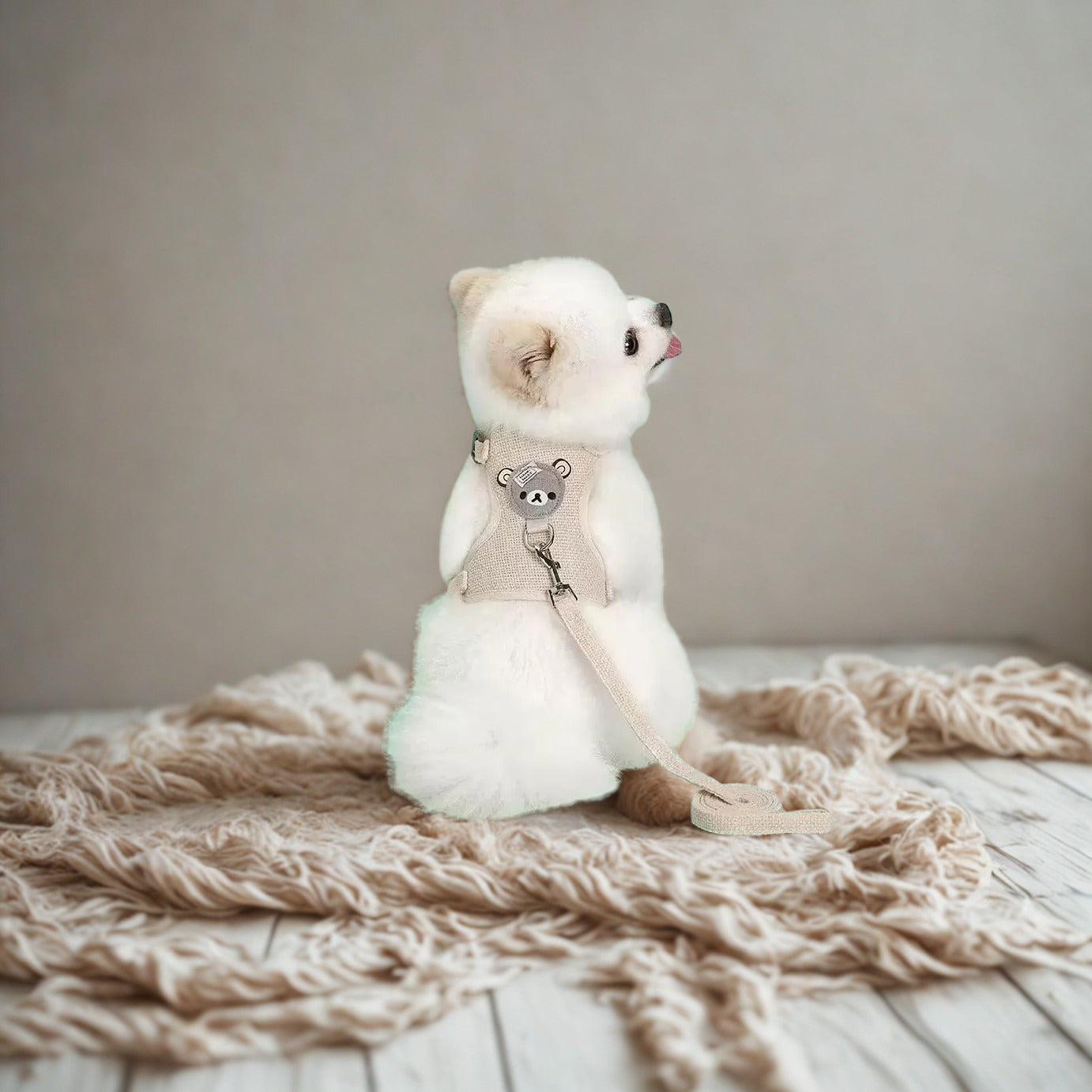 Breathable Mesh Harness and Leash | For Cats | Pet Supplies and Food Australia | Pet Supplies Sydney | PetNexa Australia | Shop now | Pet Grooming | Pet Supplies and Food Australia | Pet Supplies Sydney | PetNexa Australia | Shop now