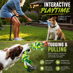  | For Dogs | Pet Supplies and Food Australia | Pet Supplies Sydney | PetNexa Australia | Shop now