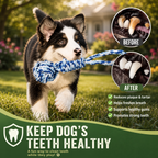  | For Dogs | Pet Supplies and Food Australia | Pet Supplies Sydney | PetNexa Australia | Shop now