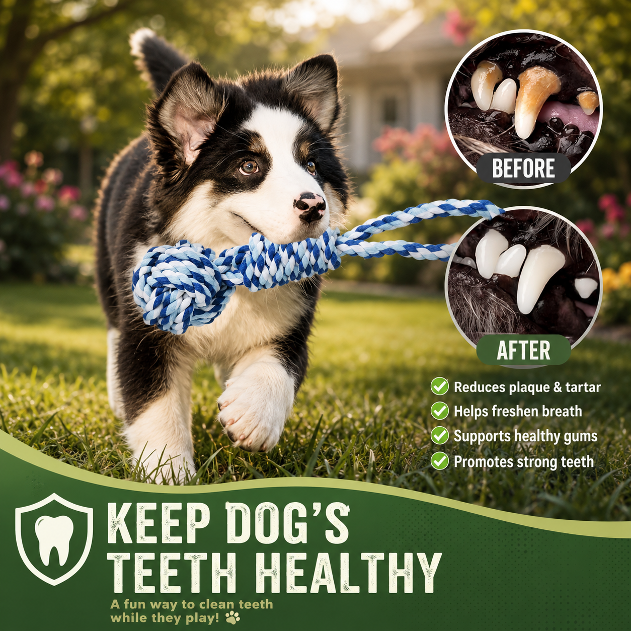 | For Dogs | Pet Supplies and Food Australia | Pet Supplies Sydney | PetNexa Australia | Shop now