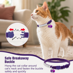  | For Cats | Pet Supplies and Food Australia | Pet Supplies Sydney | PetNexa Australia | Shop now
