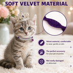  | For Cats | Pet Supplies and Food Australia | Pet Supplies Sydney | PetNexa Australia | Shop now