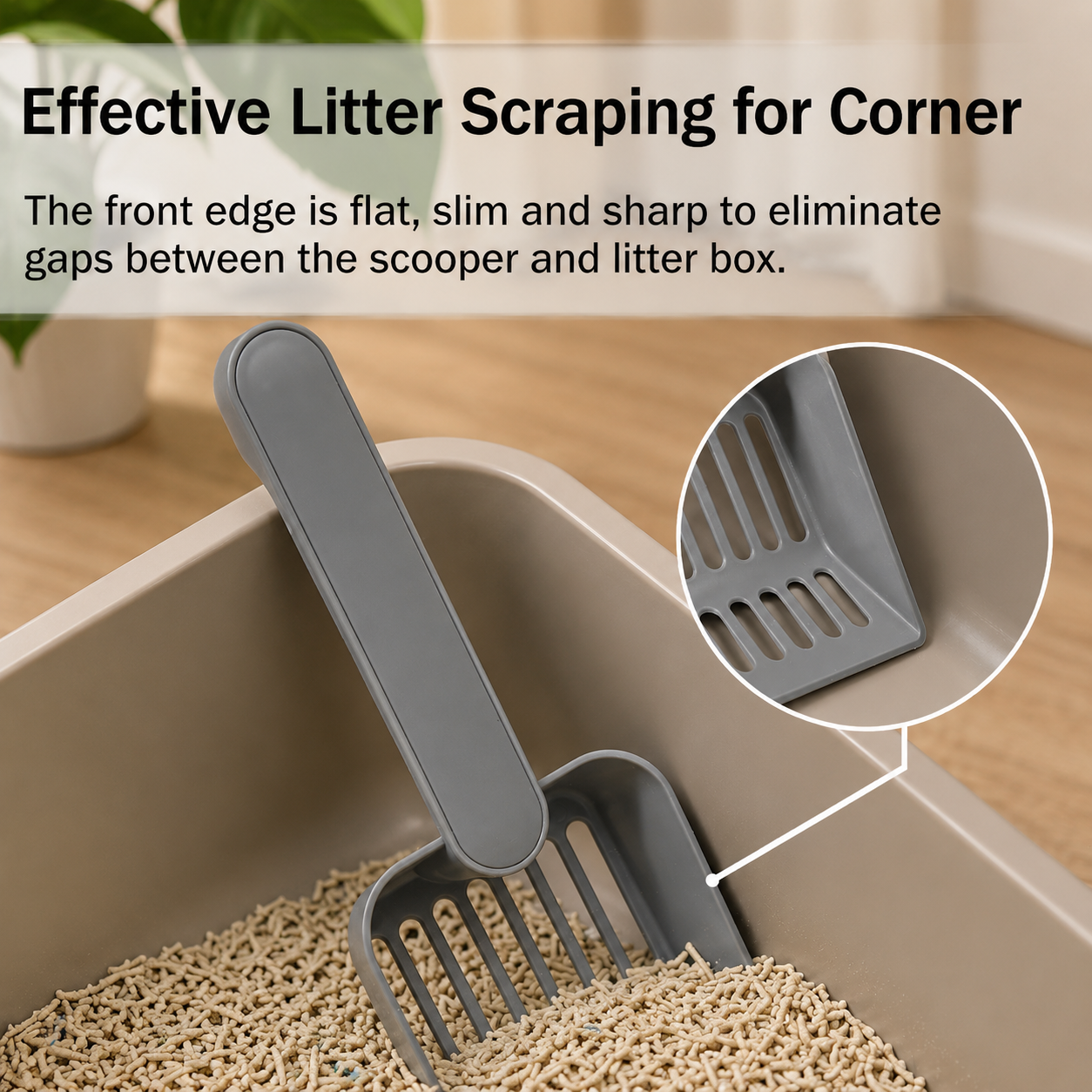  | For Cats | Pet Supplies and Food Australia | Pet Supplies Sydney | PetNexa Australia | Shop now