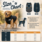 Dog size chart with a Golden Retriever wearing a black coat, showing measurements for neck, chest, and back.