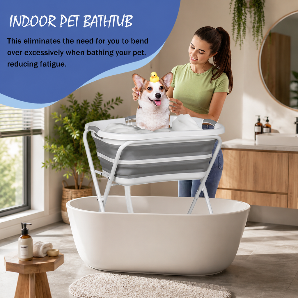 | For Cats | Pet Supplies and Food Australia | Pet Supplies Sydney | PetNexa Australia | Shop now | Pet Grooming | Pet Supplies and Food Australia | Pet Supplies Sydney | PetNexa Australia | Shop now