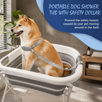 | For Cats | Pet Supplies and Food Australia | Pet Supplies Sydney | PetNexa Australia | Shop now | Pet Grooming | Pet Supplies and Food Australia | Pet Supplies Sydney | PetNexa Australia | Shop now