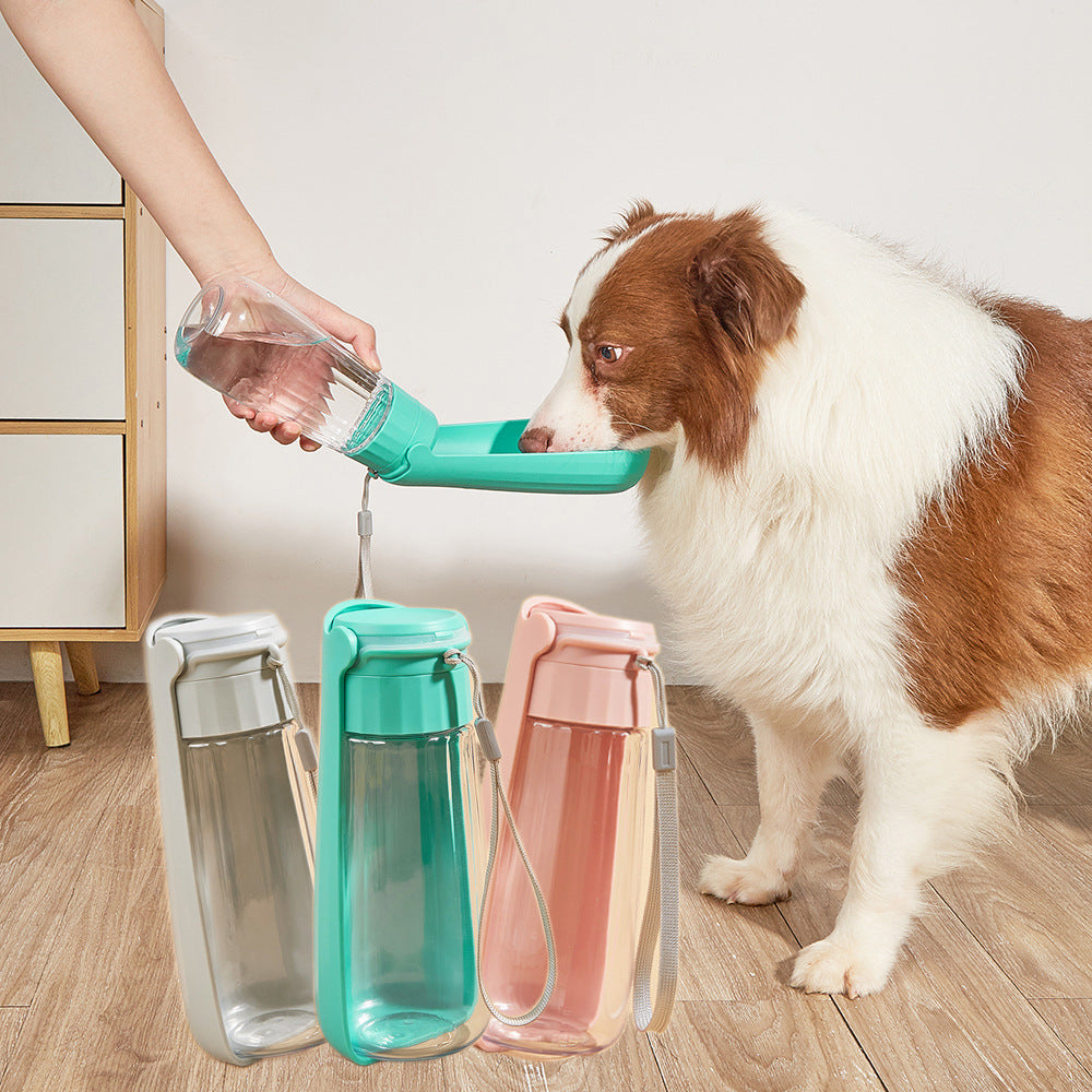 Petnexa Water Cup Outdoor Portable Folding Dog Water Bottle 550Ml | Pet Grooming | Pet Supplies and Food Australia | Pet Supplies Sydney | PetNexa Australia | Shop now