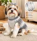 Gradient Turtleneck Dog Sweater for Small Dogs & Cats | For Cats | Pet Supplies and Food Australia | Pet Supplies Sydney | PetNexa Australia | Shop now | Pet Grooming | Pet Supplies and Food Australia | Pet Supplies Sydney | PetNexa Australia | Shop now