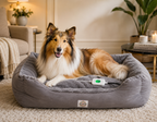A fluffy golden and white collie dog lies comfortably inside a plush gray heated pet bed on a beige carpeted floor in a cozy living room setting. A small white controller with a green button rests on the bed.
