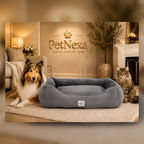 A plush gray pet bed sits on a beige rug in a warmly lit living room, with a collie-type dog lying on the left and a tabby cat sitting on the right. The wall behind shows the PetNexa logo and the words 'LUXURY.