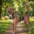 Heavy Duty Dog Harness for Large Dogs | For Dogs | Pet Supplies and Food Australia | Pet Supplies Sydney | PetNexa Australia | Shop now