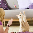 Cat playing with a toy held by a person in a home setting | Pet Grooming | Pet Supplies and Food Australia | Pet Supplies Sydney | PetNexa Australia | Shop now