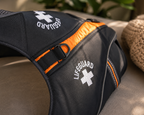 M-Pets Life Jacket for Dogs, Medium M-Pets Life Jacket for Dogs, Medium| Pet Grooming | Pet Supplies and Food Australia |  Pet Supplies Sydney | PetNexa Australia | Shop now | Pet Grooming | Pet Supplies and Food Australia | Pet Supplies Sydney | PetNexa Australia | Shop now
