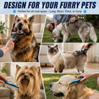Mumoo Bear Pet Grooming Combo | Pet Grooming | Pet Supplies and Food Australia |  Pet Supplies Sydney | PetNexa Australia | Shop now | Pet Grooming | Pet Supplies and Food Australia | Pet Supplies Sydney | PetNexa Australia | Shop now