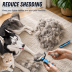 Mumoo Bear Pet Grooming Combo | Pet Grooming | Pet Supplies and Food Australia |  Pet Supplies Sydney | PetNexa Australia | Shop now | Pet Grooming | Pet Supplies and Food Australia | Pet Supplies Sydney | PetNexa Australia | Shop now