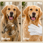 6PCS Pet Cleaning Glove Wipes for Dogs & Cats – Deodorizing No-Rinse Grooming Gloves | Pet Grooming | Pet Supplies and Food Australia |  Pet Supplies Sydney | PetNexa Australia | Shop now | Pet Grooming | Pet Supplies and Food Australia | Pet Supplies Sydney | PetNexa Australia | Shop now