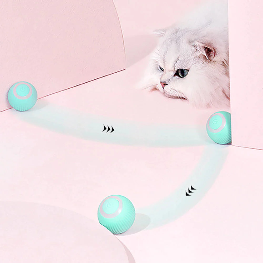 Smart Cat Toys Automatic Rolling Ball Electric Cat Toys Interactive for Cats Training Self-Moving Kitten Toys Pet Accessories | Pet Grooming | Pet Supplies and Food Australia | Pet Supplies Sydney | PetNexa Australia | Shop now