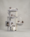  | For Cats | Pet Supplies and Food Australia | Pet Supplies Sydney | PetNexa Australia | Shop now