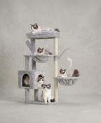  | For Cats | Pet Supplies and Food Australia | Pet Supplies Sydney | PetNexa Australia | Shop now