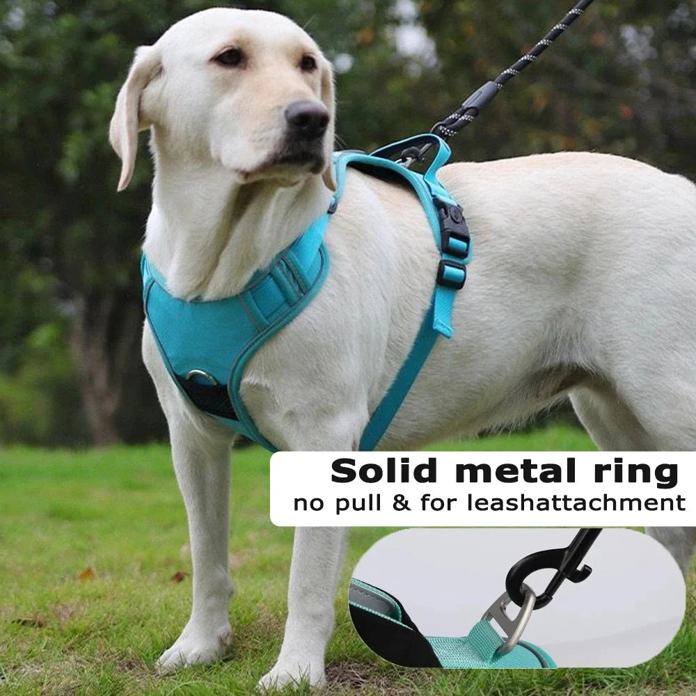 Elevate Your Dog's Adventures: Premium Harness & Leash Set with Airtag Holder - Safe, Breathable, and Reflective! 🐾✨ | Pet Grooming | Pet Supplies and Food Australia | Pet Supplies Sydney | PetNexa Australia | Shop now