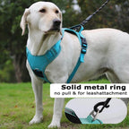 Elevate Your Dog's Adventures: Premium Harness & Leash Set with Airtag Holder - Safe, Breathable, and Reflective! 🐾✨ | Pet Grooming | Pet Supplies and Food Australia | Pet Supplies Sydney | PetNexa Australia | Shop now