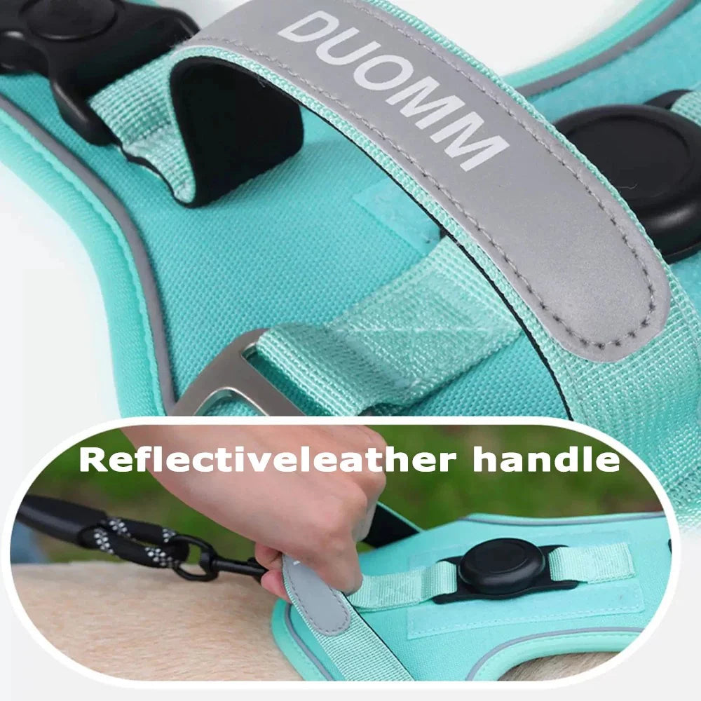 Elevate Your Dog's Adventures: Premium Harness & Leash Set with Airtag Holder - Safe, Breathable, and Reflective! 🐾✨ | Pet Grooming | Pet Supplies and Food Australia | Pet Supplies Sydney | PetNexa Australia | Shop now