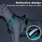 Elevate Your Dog's Adventures: Premium Harness & Leash Set with Airtag Holder - Safe, Breathable, and Reflective! 🐾✨ | Pet Grooming | Pet Supplies and Food Australia | Pet Supplies Sydney | PetNexa Australia | Shop now