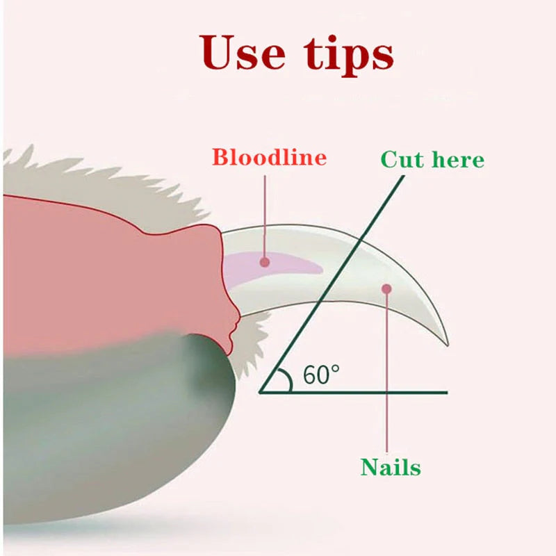 Professional Pet Nail Clipper Led Light Claw Grooming Scissors | Pet Grooming | Pet Supplies and Food Australia |  Pet Supplies Sydney | PetNexa Australia | Shop now