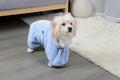 Quick-Drying Pet Absorbent Towel Dog Bathrobe Pet Dog Bath Towel for Dogs Cats Microfiber Absorbent Pet Drying Towel Pet Supplies Pet Products | Pet Grooming | Pet Supplies and Food Australia | Pet Supplies Sydney | PetNexa Australia | Shop now