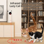 Smart interactive automatic laser toy for cats with an infrared motion tracking red dot, shown with an orange tabby and a kitten in a living room. | Pet Grooming | Pet Supplies and Food Australia | Pet Supplies Sydney | PetNexa Australia | Shop now