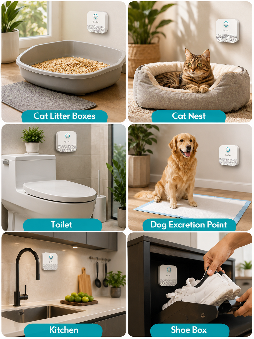  | For Cats | Pet Supplies and Food Australia | Pet Supplies Sydney | PetNexa Australia | Shop now