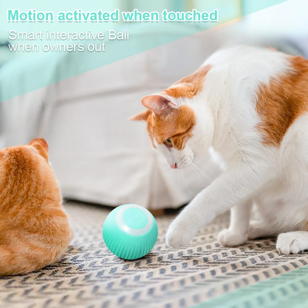  | For Cats | Pet Supplies and Food Australia | Pet Supplies Sydney | PetNexa Australia | Shop now