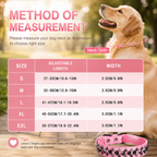  | For Dogs | Pet Supplies and Food Australia | Pet Supplies Sydney | PetNexa Australia | Shop now