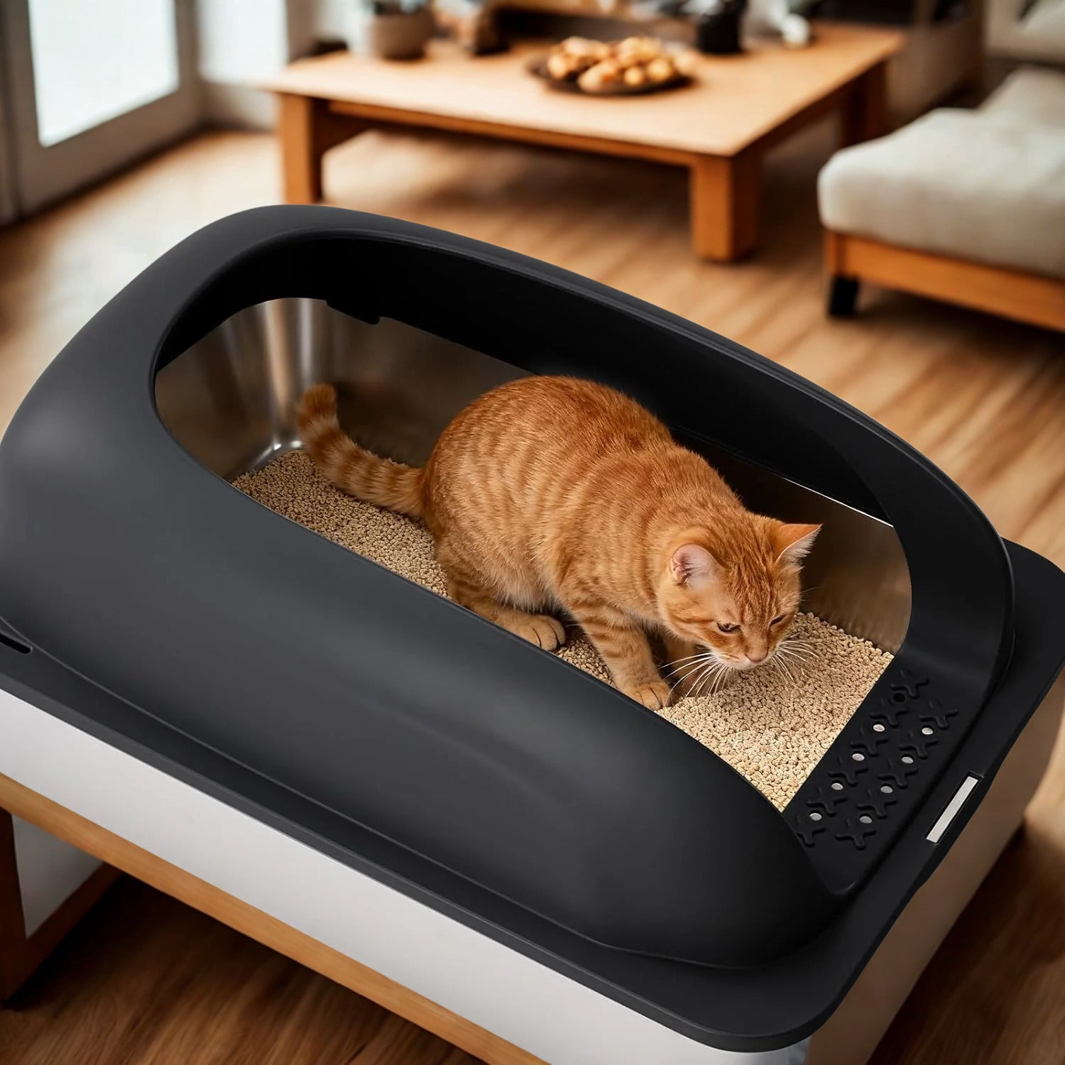  | For Cats | Pet Supplies and Food Australia | Pet Supplies Sydney | PetNexa Australia | Shop now