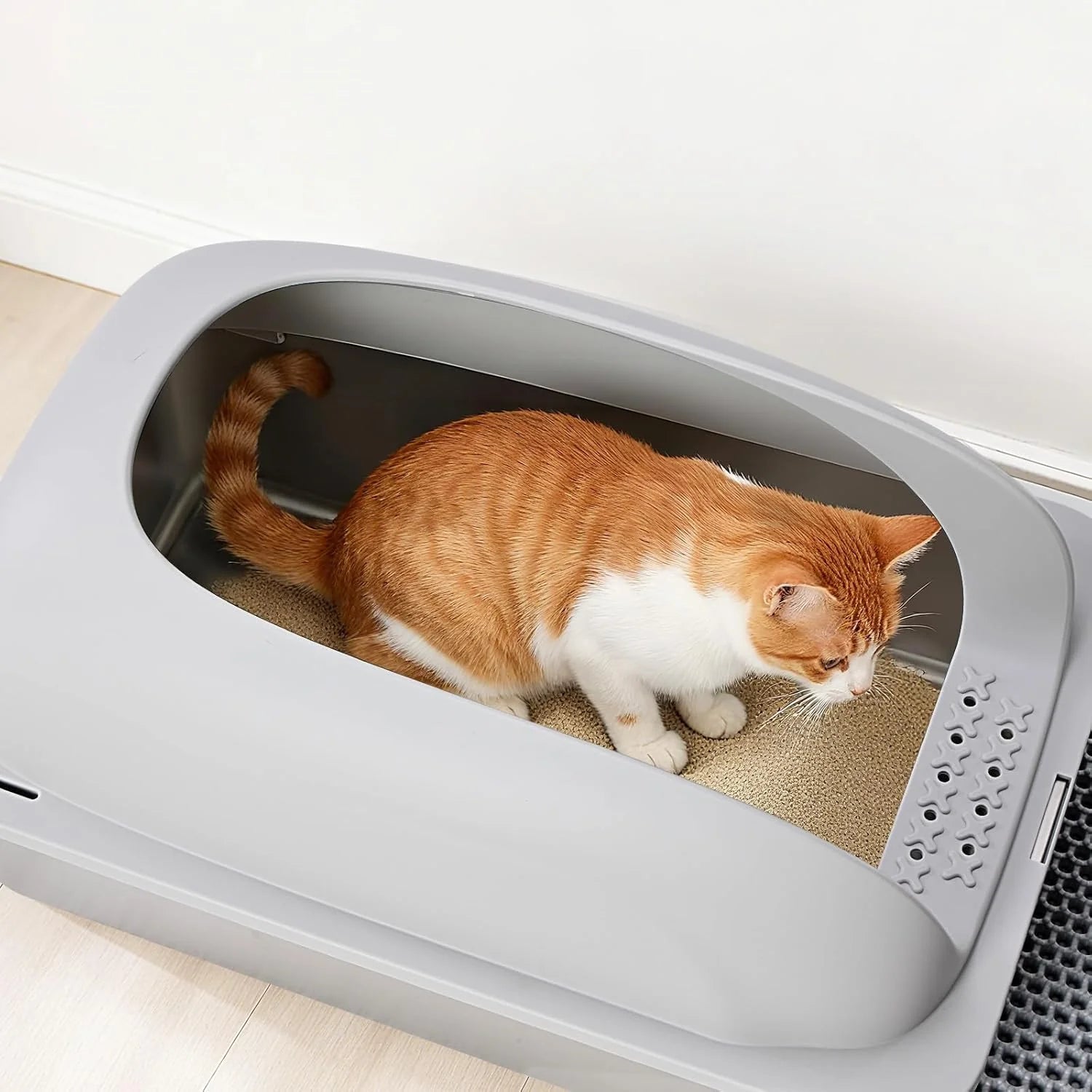 Stainless Steel Cat Litter Box with Lid, Large Cat Litter Box for Big Cats, High Wall Sides, Anti-Urine Leakage, Easy Cleaning, Scoop and Mat Included,Light Grey | Pet Grooming | Pet Supplies and Food Australia | Pet Supplies Sydney | PetNexa Australia | Shop now