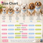 | For Cats | Pet Supplies and Food Australia | Pet Supplies Sydney | PetNexa Australia | Shop now | Pet Grooming | Pet Supplies and Food Australia | Pet Supplies Sydney | PetNexa Australia | Shop now
