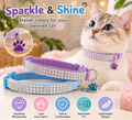 2-Pack Velvet Breakaway Cat Collars with Rhinestones for Girl Cats | For Cats | Pet Supplies and Food Australia | Pet Supplies Sydney | PetNexa Australia | Shop now