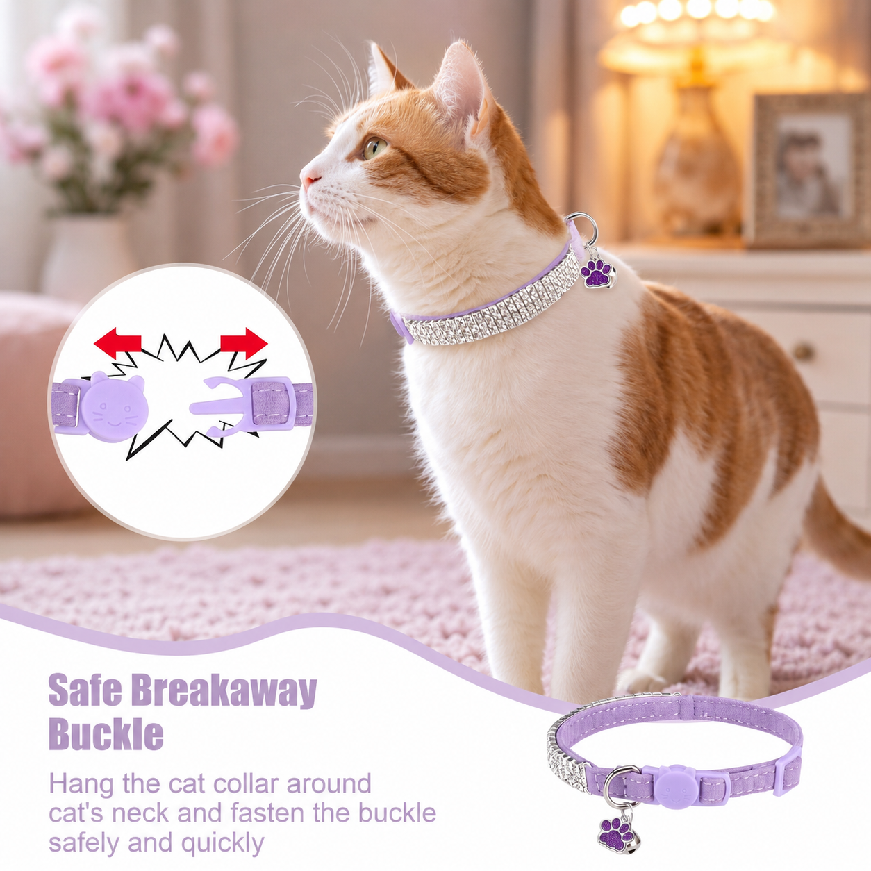  | For Cats | Pet Supplies and Food Australia | Pet Supplies Sydney | PetNexa Australia | Shop now