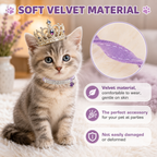 | For Cats | Pet Supplies and Food Australia | Pet Supplies Sydney | PetNexa Australia | Shop now
