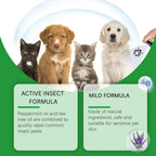 | For Cats | Pet Supplies and Food Australia | Pet Supplies Sydney | PetNexa Australia | Shop now | Pet Grooming | Pet Supplies and Food Australia | Pet Supplies Sydney | PetNexa Australia | Shop now