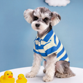 A schnauzer sitting in a blue and cream striped polo shirt beside two rubber ducks